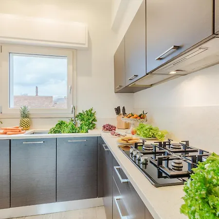 Serenity Vista Penthouse With Terrace In The Apartment Lucca